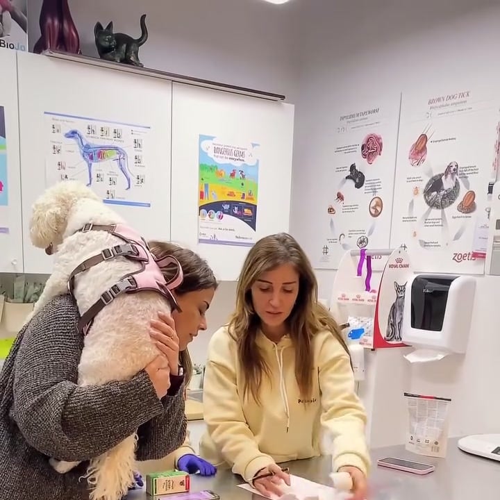 Dr. Dima discussing a pet's condition with an owner